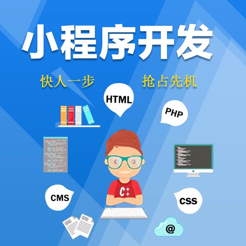 小程序开发：构建高效便捷的生活助手